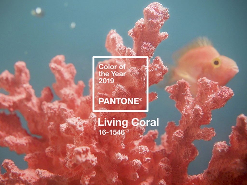 Living coral