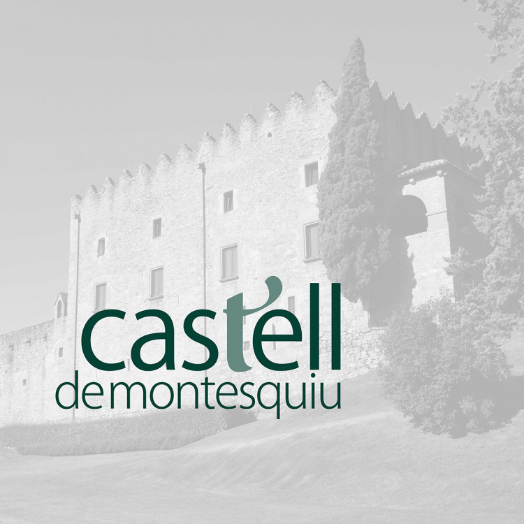 Diseño logotipo "Castell de Montesquiu"